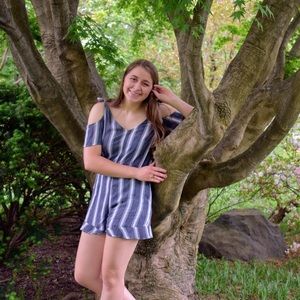 American Eagle Linen Stripped Romper